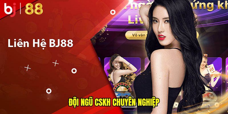 Đội ngũ CSKH chuyên nghiệp