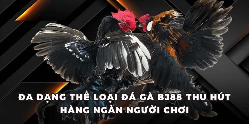 Đa dạng thể loại đá gà BJ88 thu hút hàng ngàn người chơi