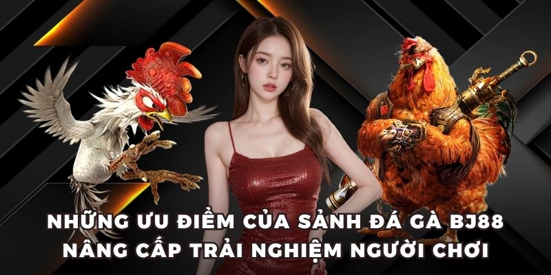 Những ưu điểm của sảnh đá gà BJ88 nâng cấp trải nghiệm người chơi