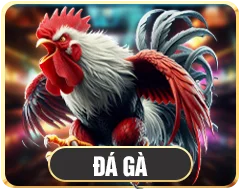 dagabj88